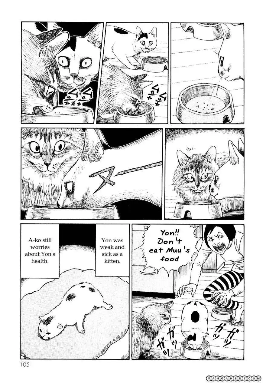 Ito Junji's Cat Diary Chapter 10 5